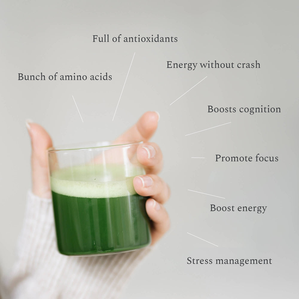 Biologische matcha groene thee poeder van hoge kwaliteit